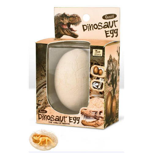 Dino Might Dinosaur Egg Fossil